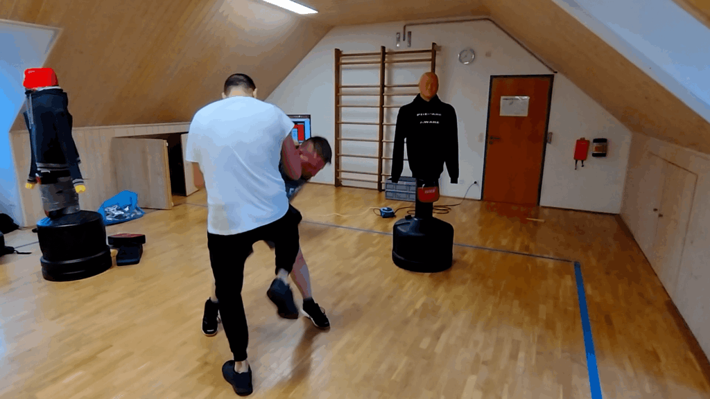 Krav Maga Combatives - Erwachsenentraining