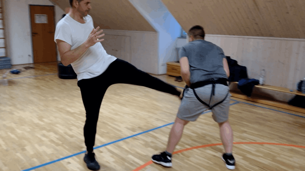 Krav Maga Combatives - Erwachsenentraining