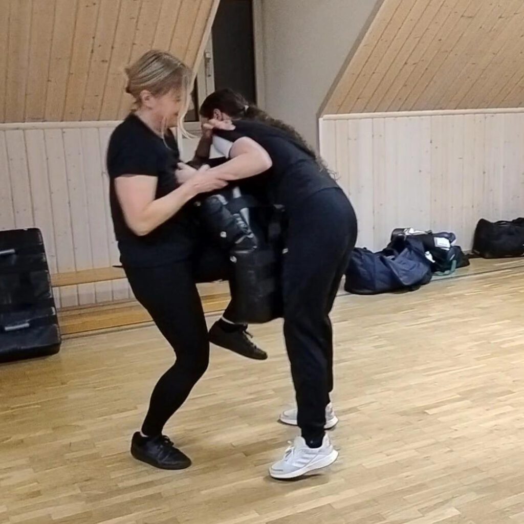 Krav Maga Combatives - Erwachsenentraining