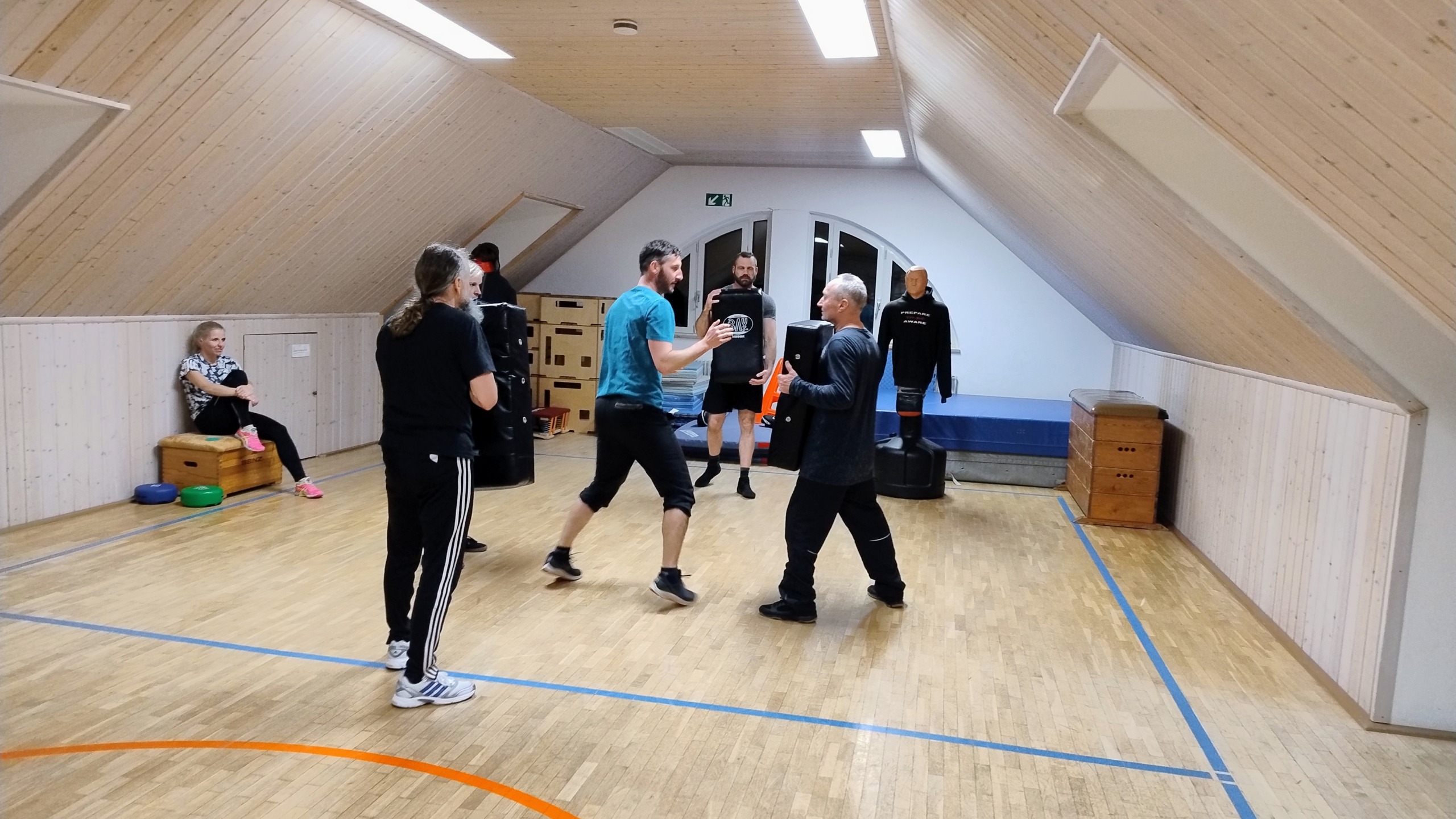 Krav Maga Combatives - Erwachsenentraining