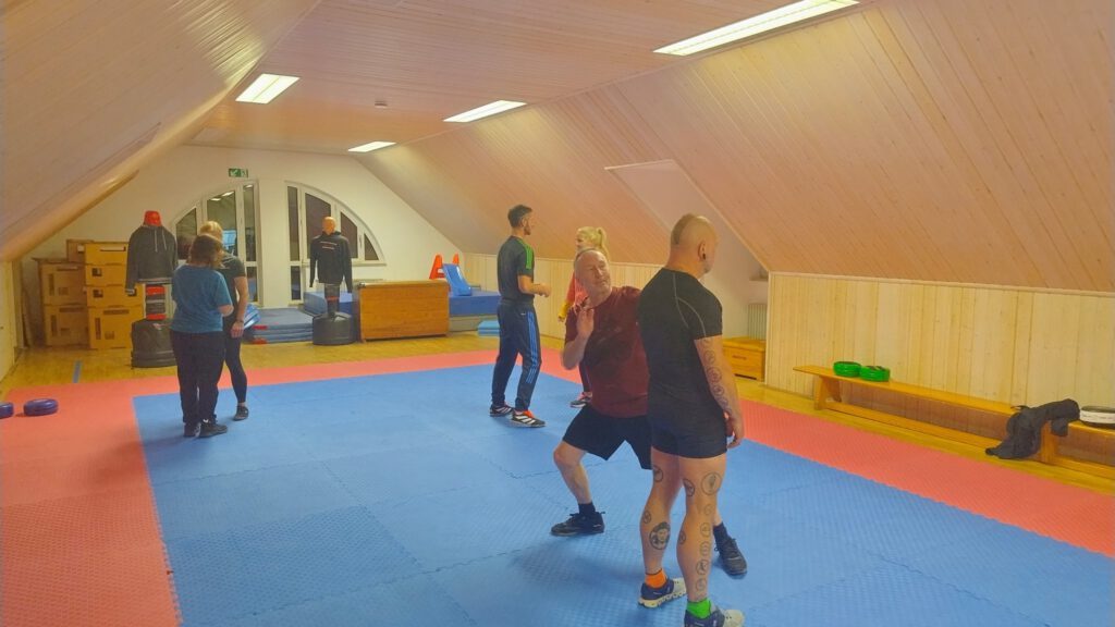 Krav Maga Combatives - Erwachsenentraining