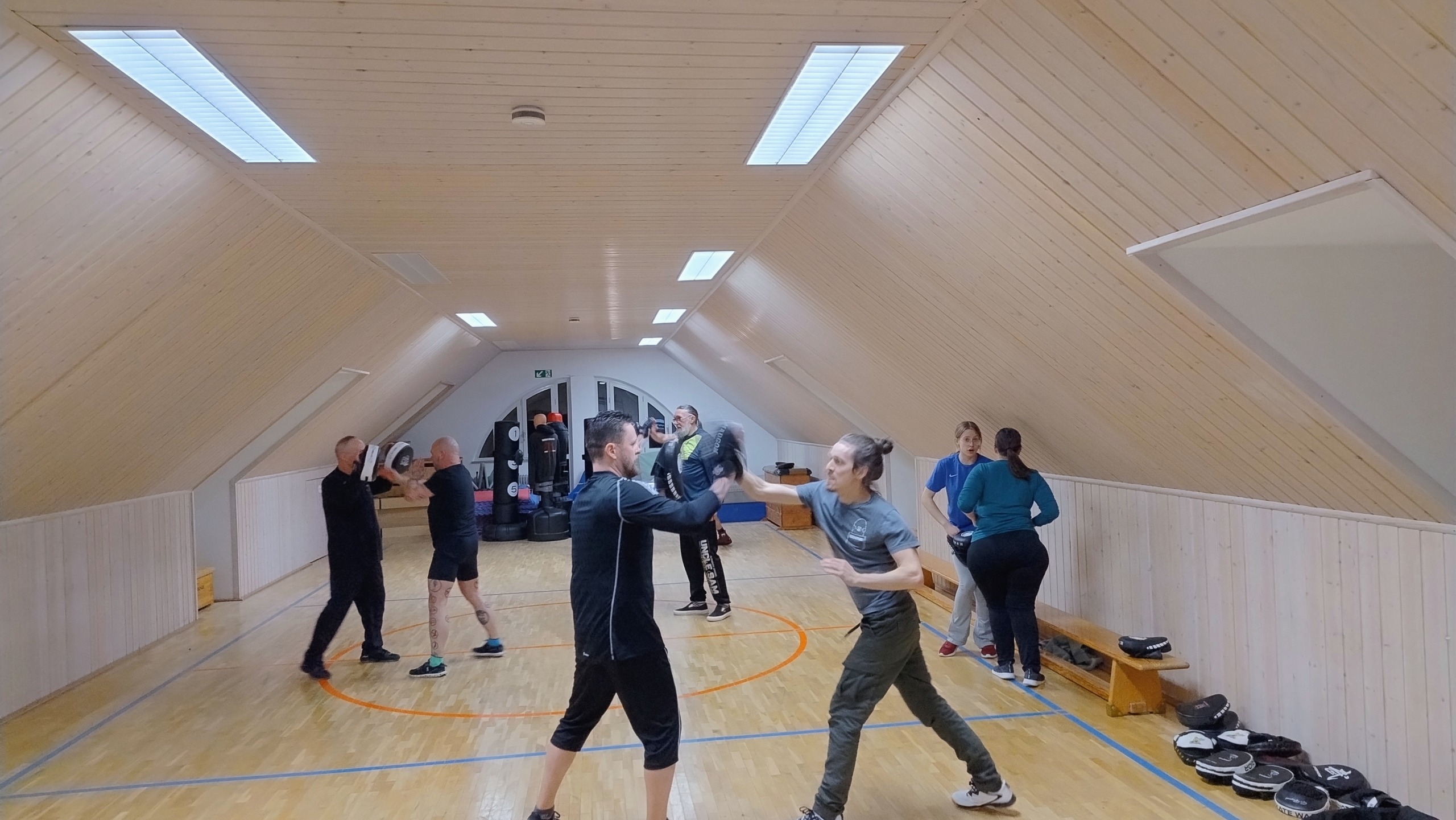 Krav Maga Combatives - Erwachsenentraining